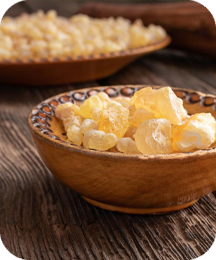 Indian Frankincense (Boswellia)